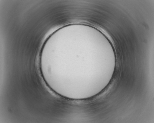 X0000114441053200911061659