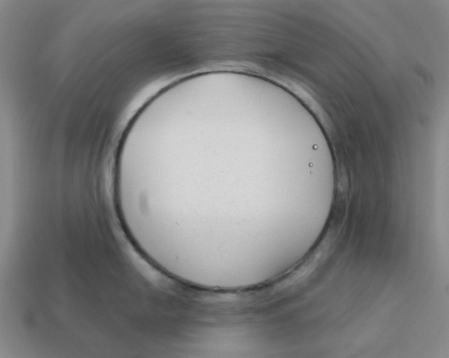 X0000114441054200911061659