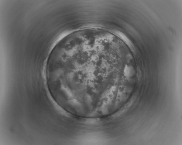 X0000114441055200911061659