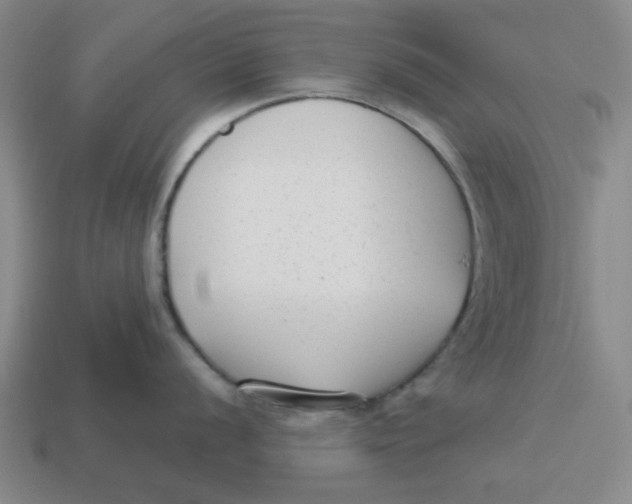 X0000114441056200911061659