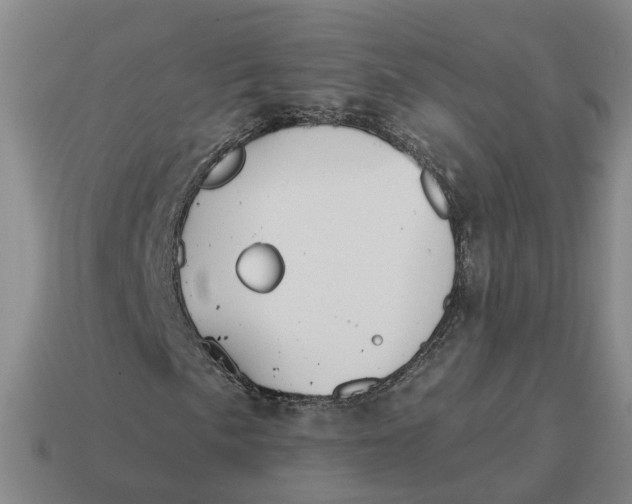 X0000114441057200911061659