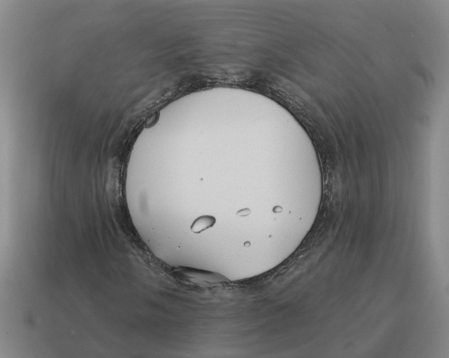 X0000114441058200911061659