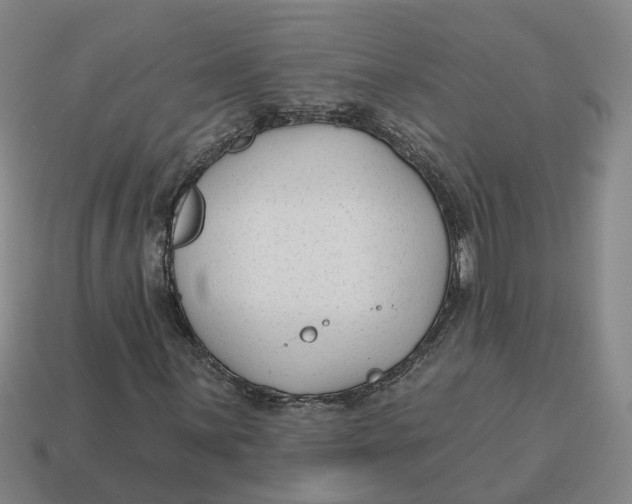 X0000114441059200911061659