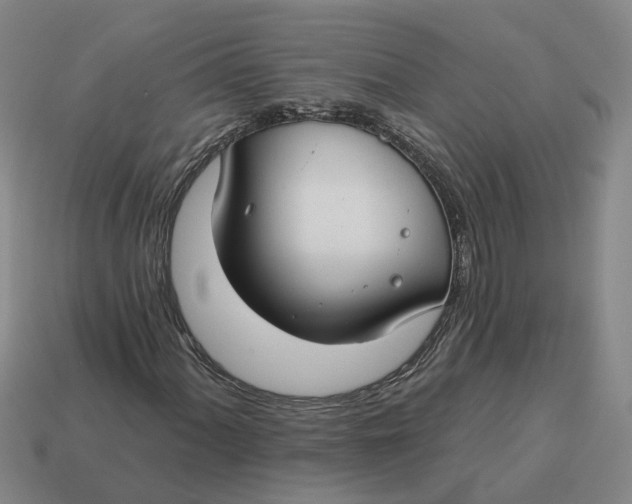 X0000114441060200911061659