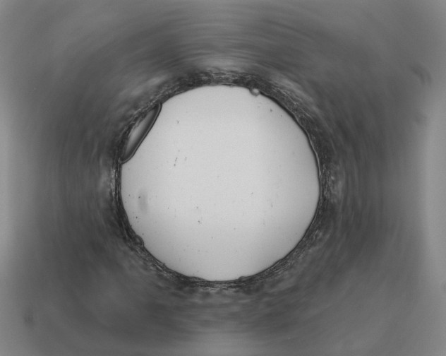 X0000114441061200911061659