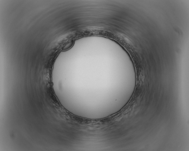 X0000114441062200911061659