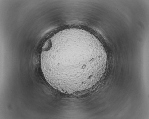 X0000114441063200911061659