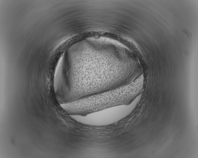 X0000114441064200911061659