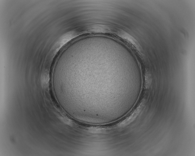 X0000114441065200911061659