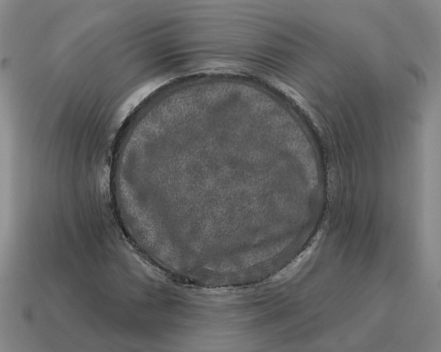 X0000114441066200911061659