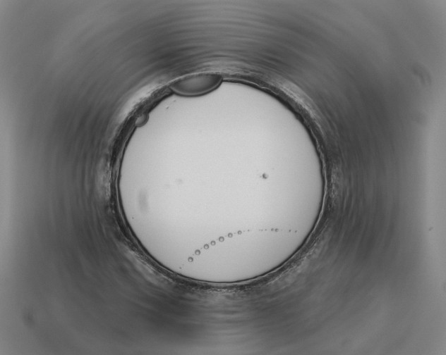 X0000114441067200911061659