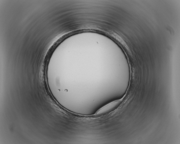 X0000114441068200911061659