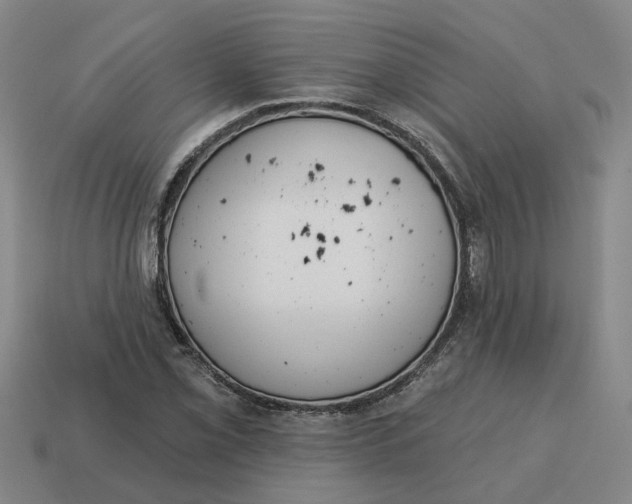 X0000114441069200911061659