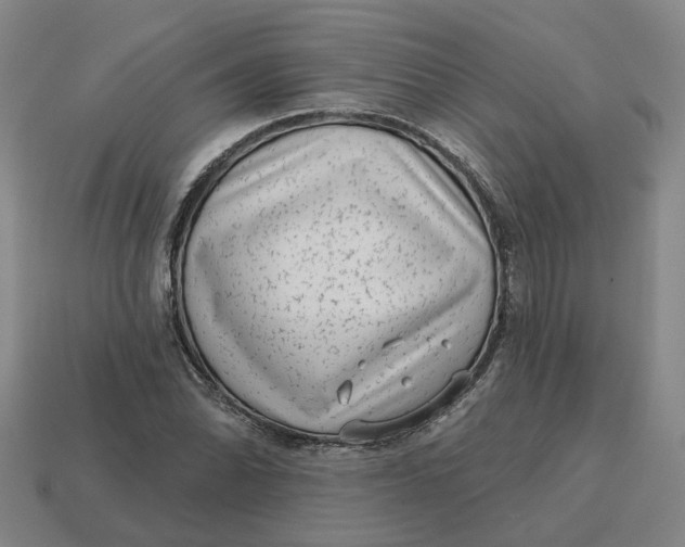 X0000114441070200911061659