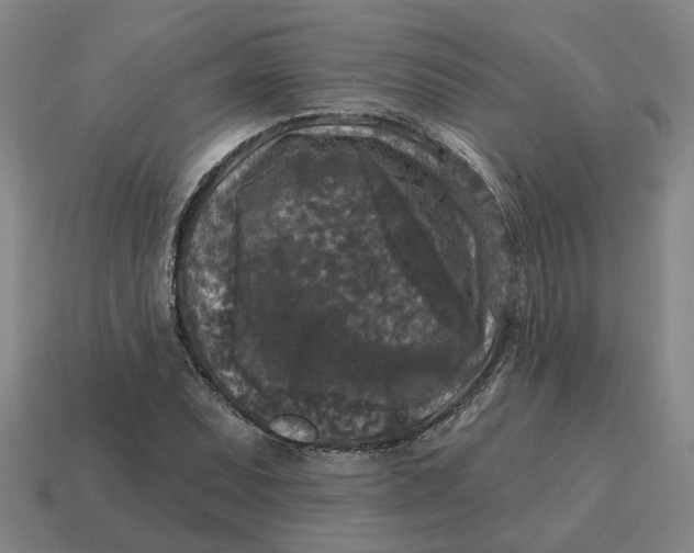 X0000114441071200911061659