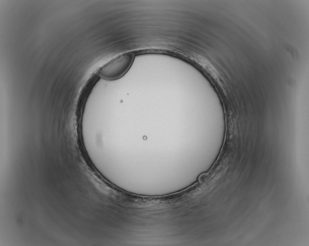 X0000114441072200911061659