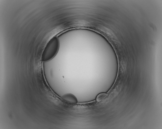 X0000114441073200911061659