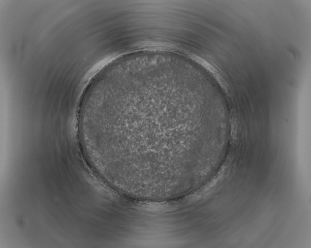 X0000114441074200911061659