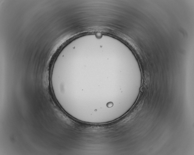 X0000114441075200911061659