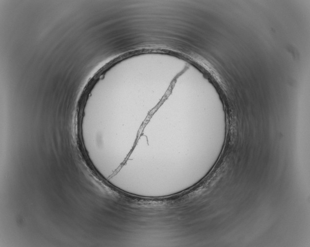 X0000114441076200911061658