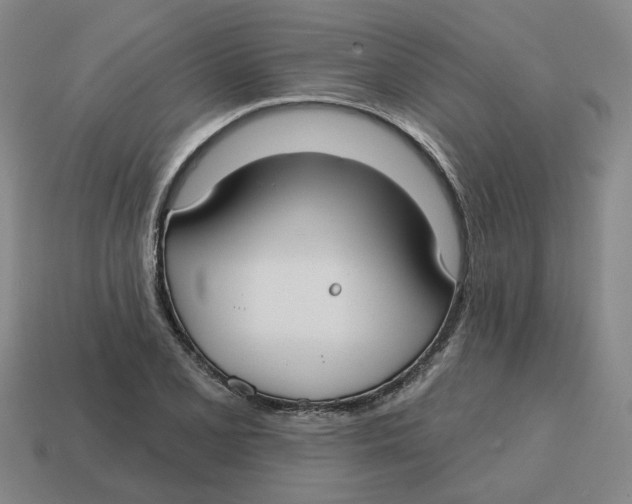 X0000114441077200911061658