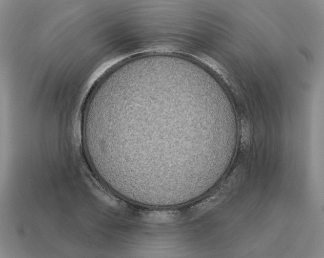 X0000114441078200911061658