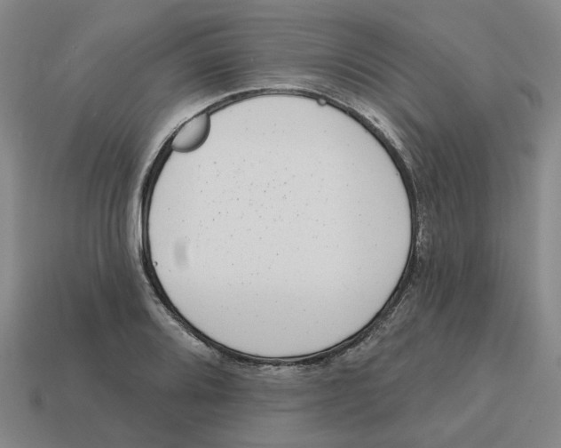 X0000114441080200911061658