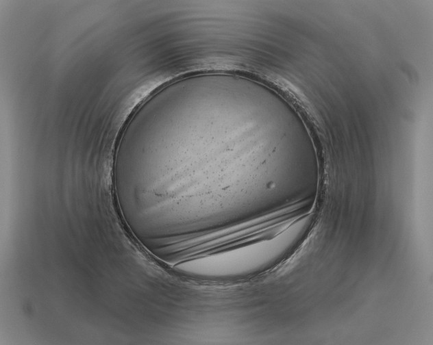 X0000114441081200911061658