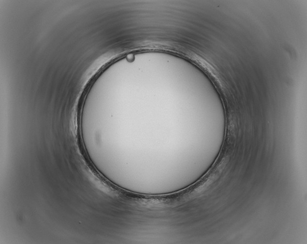 X0000114441082200911061658