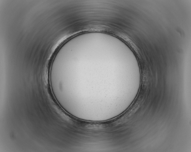 X0000114441083200911061658