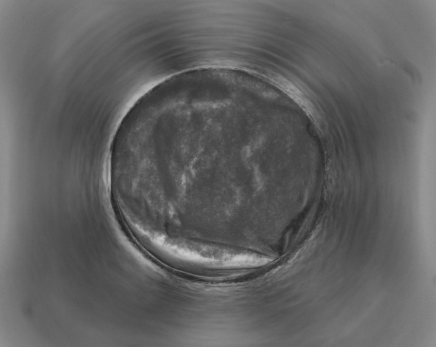 X0000114441084200911061658