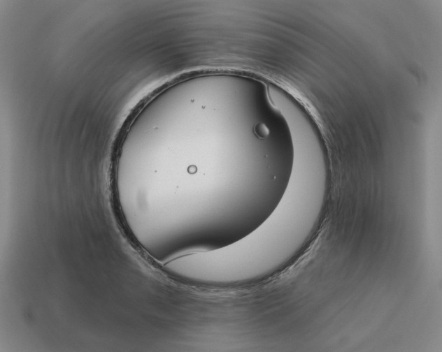 X0000114441085200911061658