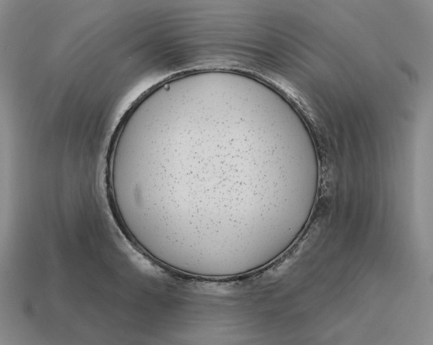 X0000114441086200911061658