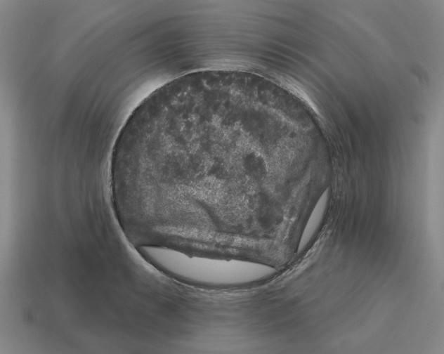 X0000114441087200911061658