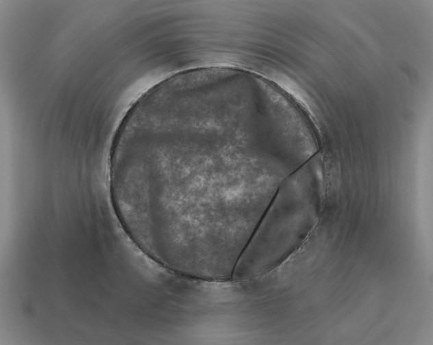 X0000114441088200911061658