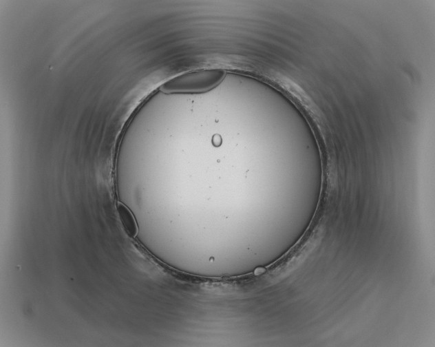 X0000114441089200911061658