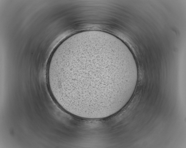 X0000114441090200911061658