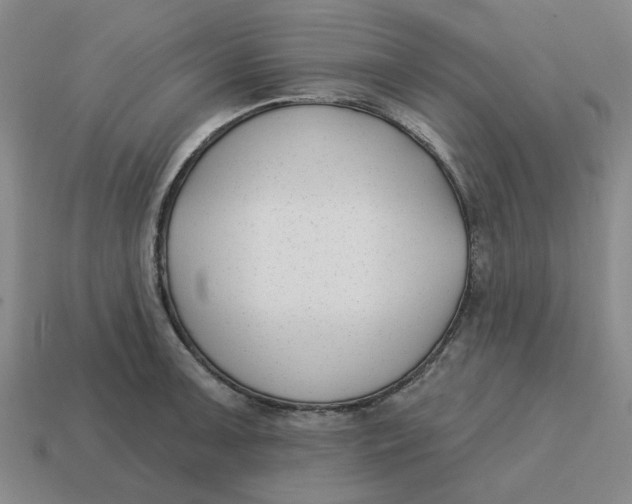 X0000114441091200911061658