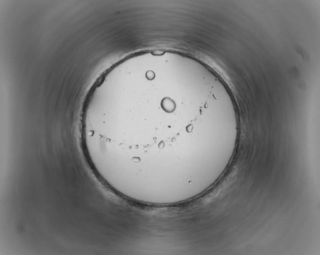 X0000114441093200911061658