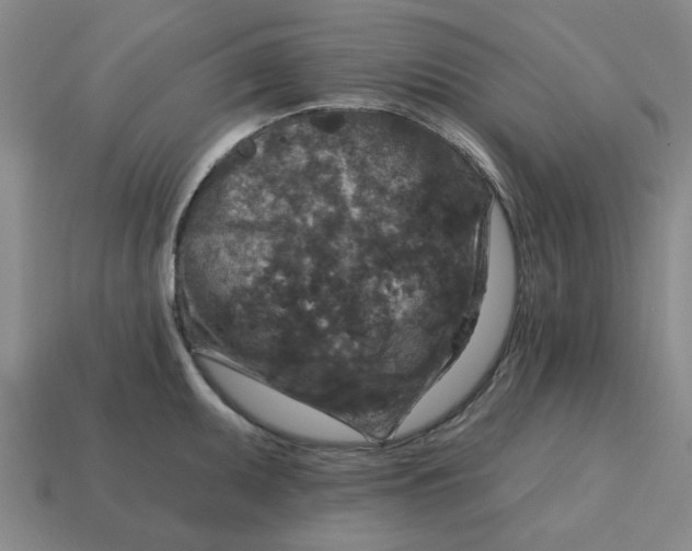 X0000114441095200911061658