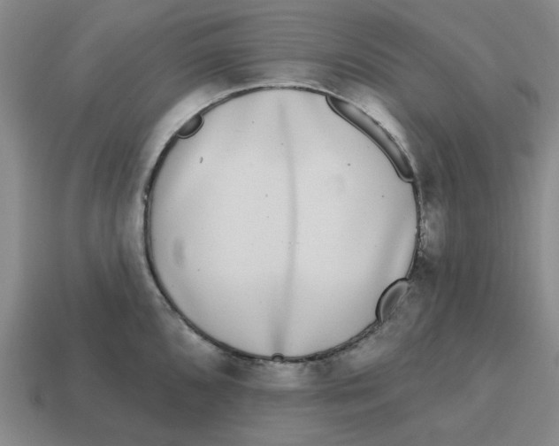 X0000114441096200911061658