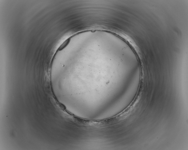 X0000114441097200911061658