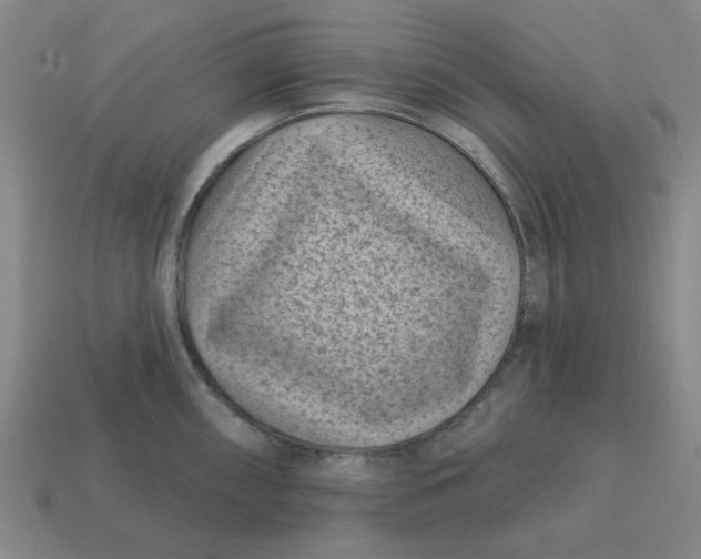 X0000114441098200911061658