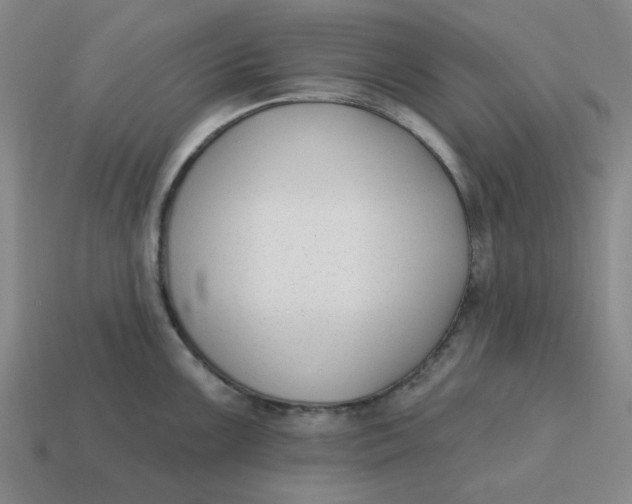 X0000114441099200911061658