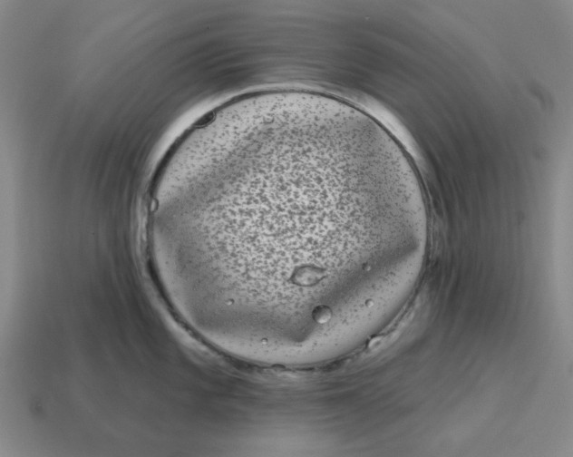 X0000114441101200911061658