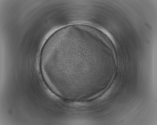 X0000114441102200911061658