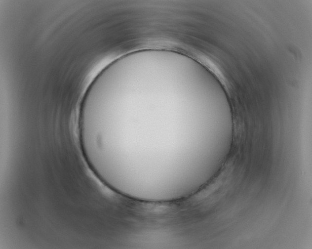 X0000114441103200911061658