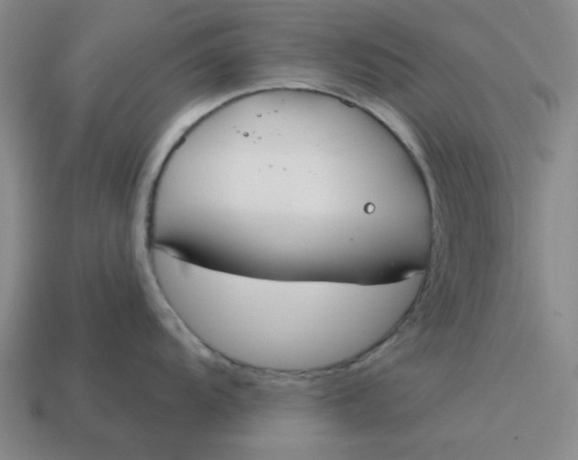 X0000114441104200911061658