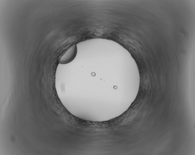 X0000114441105200911061658