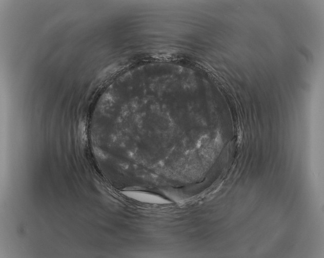 X0000114441106200911061658